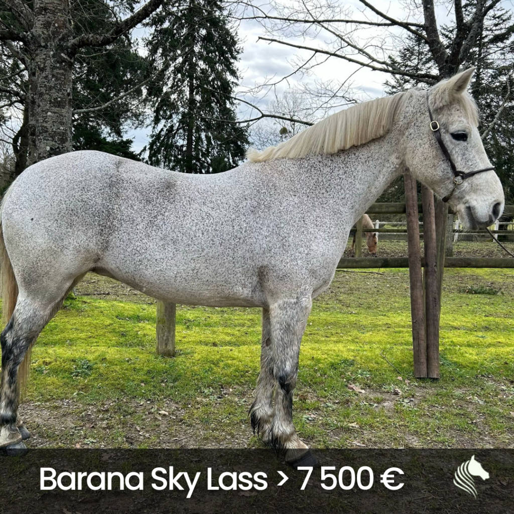 Barana Sky Lass