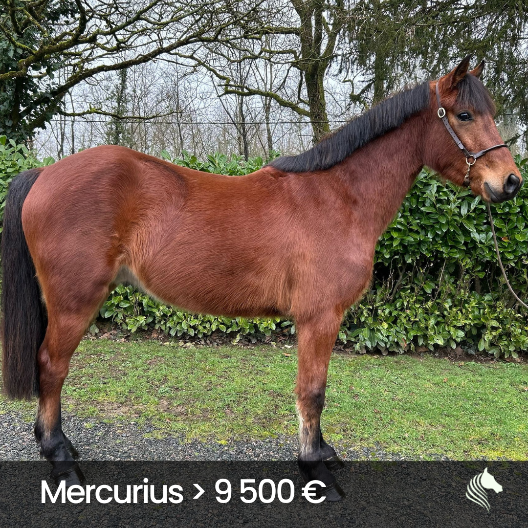 Mercurius
