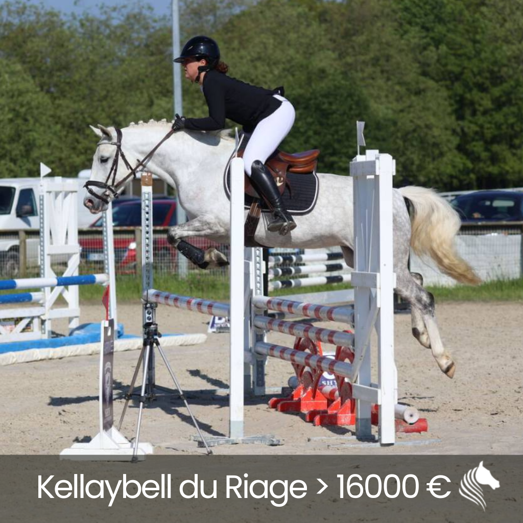 Kellaybell du Riage > 16000 €
