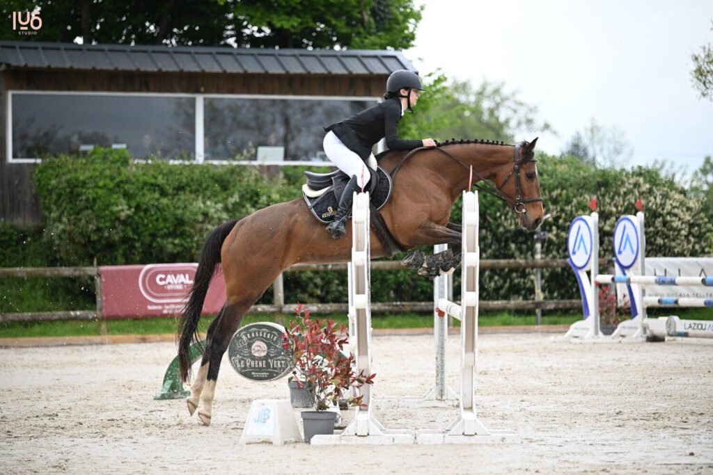 Discover a versatile and elegant mare with exceptional qualities. Well-schooled and responsive, she offers just the right amount of blood, performs clean flying lead changes, and maintains excellent balance. ✅ Careful over jumps ✅ Recently started competing ✅ Competitive and straightforward in the ring ✅ Ideal for building confidence and having fun ✅ Amateur show jumping potential Respectful and determined, she’s ready to meet the demands of an ambitious rider seeking both enjoyment and progression.
