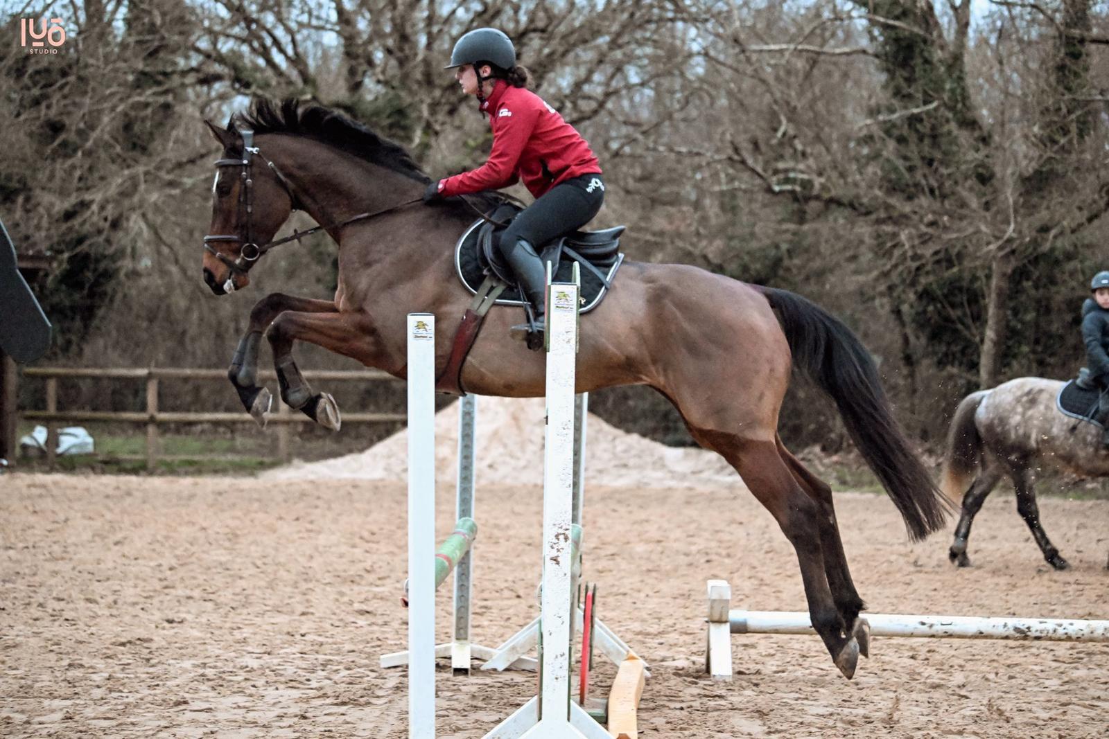 Horse d’Art : 10 00 €