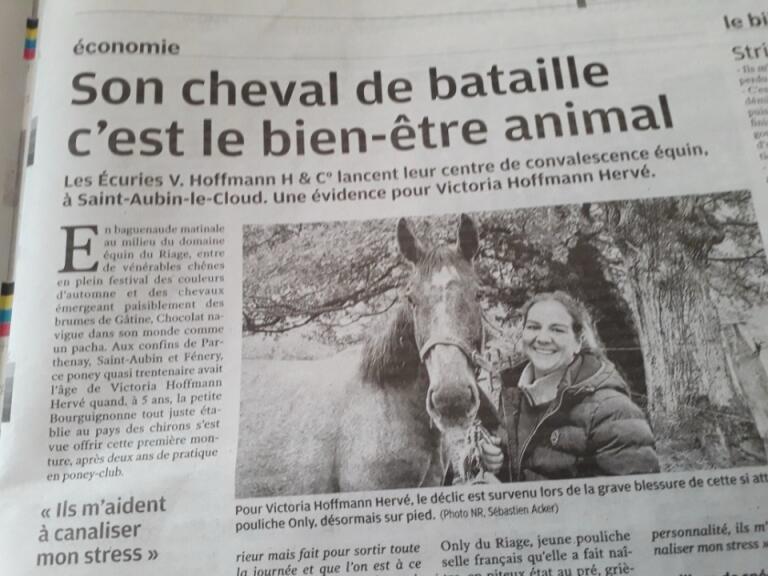 he Regional Press Highlights the Riage Equine Recovery Center