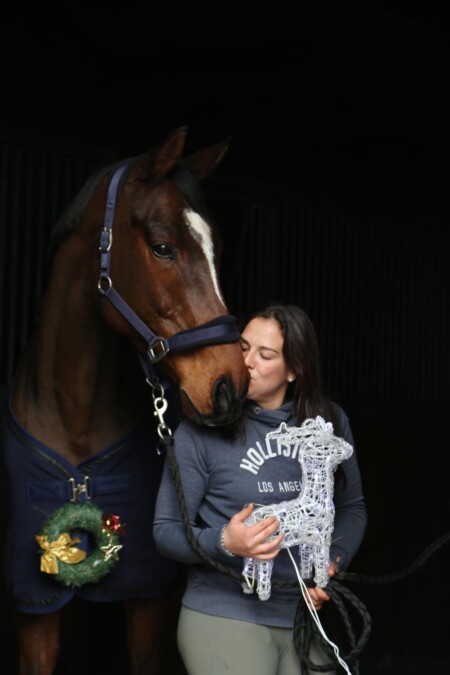HoffmannHorses : at our stables, we have a dedicated area for high-quality breeding, where we birth, raise, and train sport horses and ponies in the heart of the French countryside.